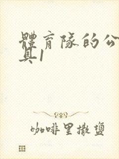 体育队的公用玩具1