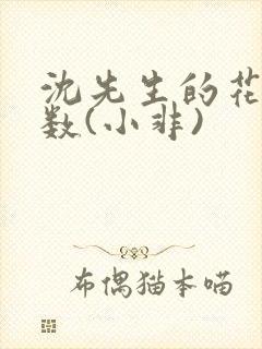 沈先生的花式调数(小非)