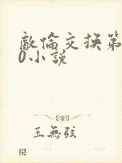 敌伦交换第150小说封面