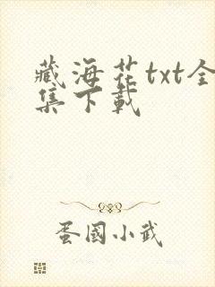 藏海花txt全集下载