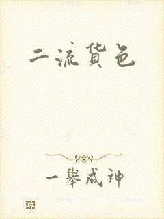 二流货色封面