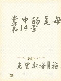 掌中的美母版主第14章封面