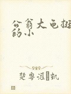 公翁大龟挺进我的小