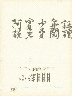 阿宾少年钰慧小说免费阅读笔趣阁