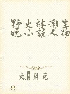 野火林潮生林晚晚小说人物野火