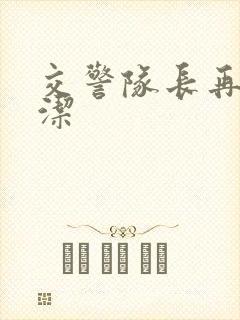 交警队长再遇白洁