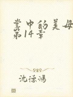 掌中的美母版主第14章