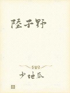 陆子野封面