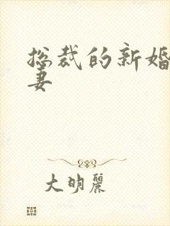 总裁的新婚下堂妻封面