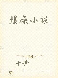 爆操小说封面