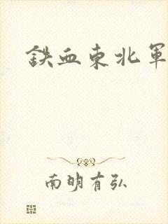 铁血东北军