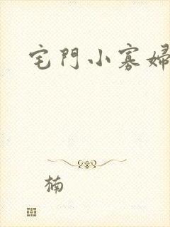 宅门小寡妇