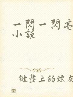 一闪一闪亮星星小说