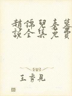 赵锦儿秦慕修小说全集免费封面