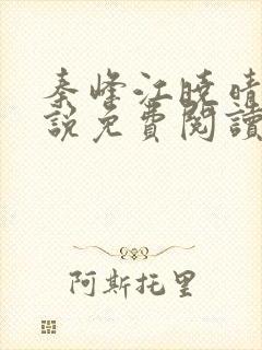 秦峰江晓晴的小说免费阅读