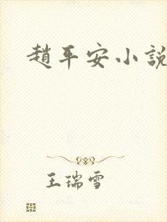 赵平安小说主角