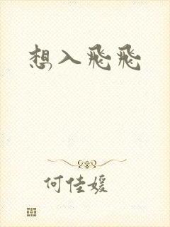 想入飞飞封面
