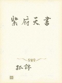 紫府天书