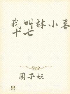 我叫林小喜今年十七