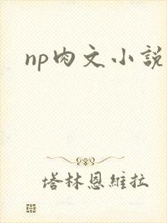 np肉文小说