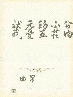状元的小公主(我爱五花肉)