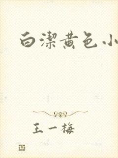 白洁黄色小说