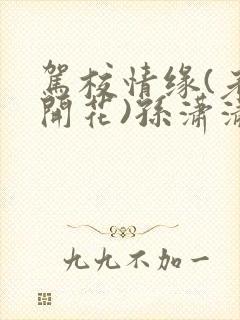 驾校情缘(老树开花)孙潇潇第一次趣笔阁封面