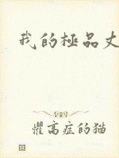 我的极品丈母娘