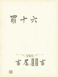 罗十六