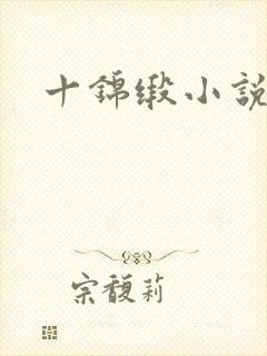 十锦缎小说封面