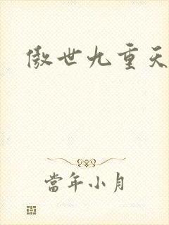 傲世九重天小说封面