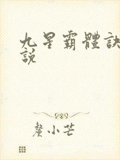 九星霸体诀 小说
