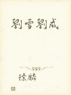 刘雪刘成封面