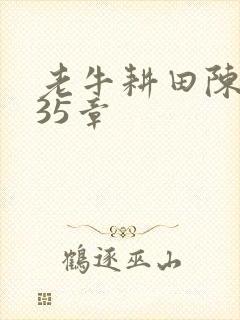 老牛耕田陈雪435章