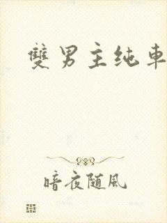 双男主纯车骨科封面