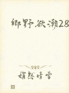 乡野欲潮28章