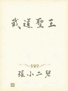 武道圣王