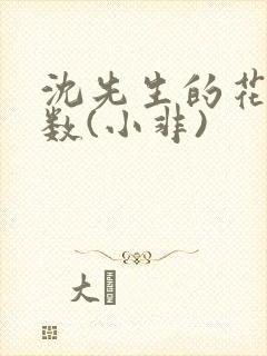 沈先生的花式调数(小非)