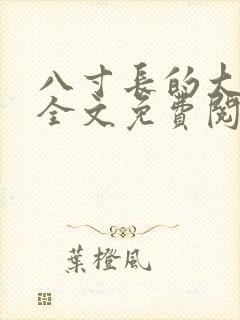 八寸长的大宝贝全文免费阅读封面