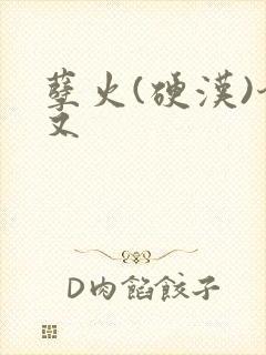 孽火(硬汉)今又