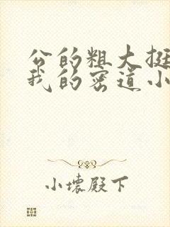 公的粗大挺进了我的密道小说封面