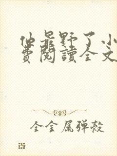 他最野了小说免费阅读全文