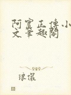 阿宾正传小说全文笔趣阁封面