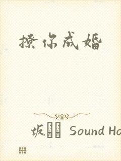 撩你成婚