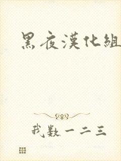 黑夜汉化组