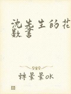 沈先生的花式调数书封面