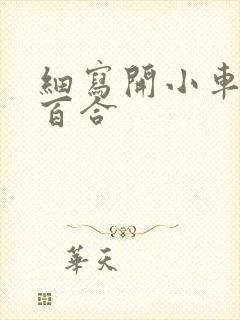 细写开小车车的百合