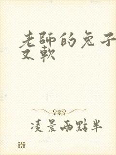 老师的兔子又大又软封面