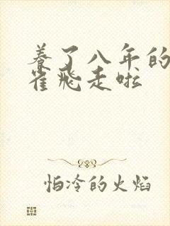 养了八年的金丝雀飞走啦