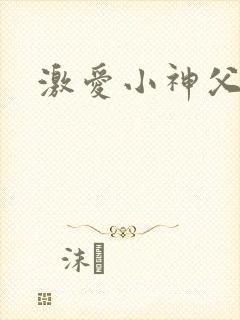 激爱小神父封面